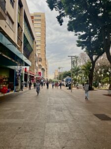 Centro de Ribeirão Preto